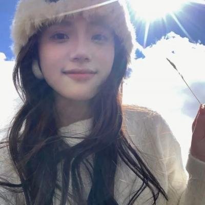 菜鸟老警第五季